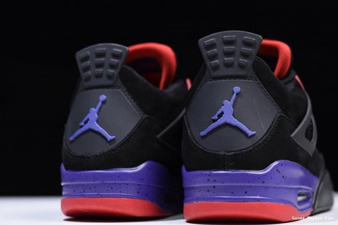 Jordan Retro AQ3816-065 Raptors
